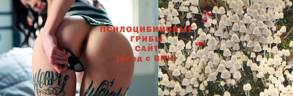 2c-b Кукмор