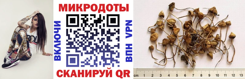 Псилоцибиновые грибы мухоморы  Циолковский 